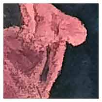 Detalle de la pintura 11 de un paisaje de fondo y un individuo emergiendo de un pezón en acrílico.