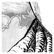 Detalle del collage digital de dibujos a lápiz 05.